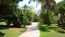 El Ayuntamiento avanza en el ‘Plan Árbol’ con la plantación de más de 300 ejemplares ornamentales y de gran porte
