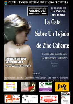 Teatro: "LA GATA SOBRE UN TEJADO DE ZINC CALIENTE"