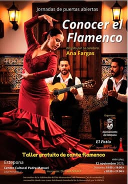 El Ayuntamiento y la Asociación Estepona Flamenco ‘El Patio’ conmemoran el Día Internacional del Flamenco con una Jornada de Puertas Abiertas en el Centro Cultural Padre Manuel