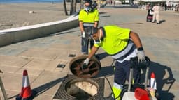 El Ayuntamiento refuerza el servicio de control de plagas con más personal y amplia los trabajos durante todo el año