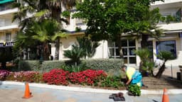El Ayuntamiento plantará más de 400.000 ejemplares de flor para embellecer las zonas verdes durante la campaña de primavera-verano