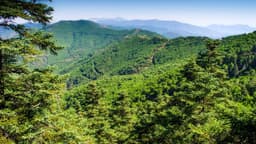 La Policía Local intensifica los controles en parajes naturales para evitar incendios forestales