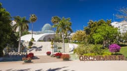 El Orquidario de Estepona ha recibido más de medio millón de visitas desde su apertura hace diez años