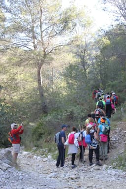Senderismo: RUTA FRIGILIANA –NERJA
