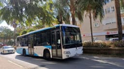 El Ayuntamiento activará un servicio gratuito de autobús a los cementerios con motivo de la festividad de Todos los Santos
