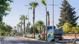 Fotonoticia: El Ayuntamiento inicia trabajos de jardinería y embellecimiento en la avenida Parque Selwo