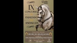 Estepona abre el plazo de participación en el IX Concurso de Enjaezado a la Andaluza