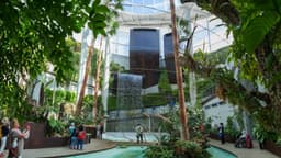 El Parque Botánico-Orquidario de Estepona alberga la floración de más de 200 especies diferentes
