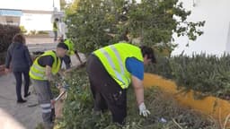 El Ayuntamiento abre la inscripción para el segundo ciclo de los talleres gratuitos de Jardinería, Electricidad, Fontanería y Albañilería